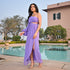 Powdered Plum Dress